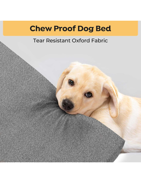 Cama Indestructible para Perros Veehoo 88.9x55.88cm Lavable