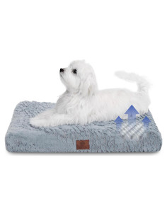 Mata Ortopédica de Espuma Memoria American Kennel Club 61x48 cm