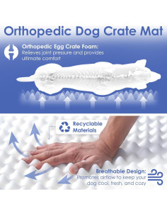 Mata Ortopédica de Espuma Memoria American Kennel Club 61x48 cm 2