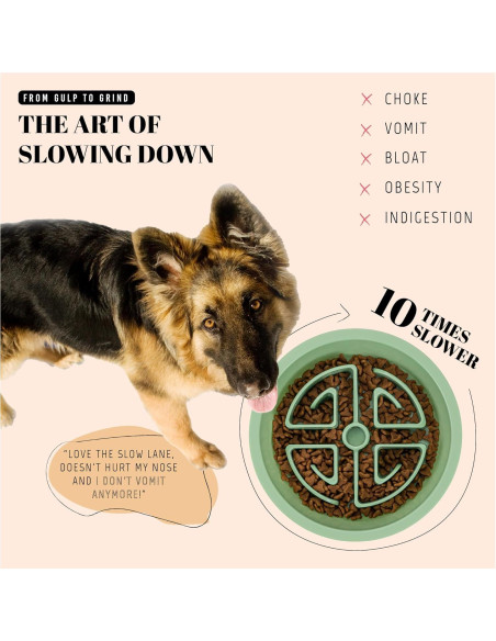 Comedero Lento AVERYDAY 2.5 Tazas para Perros Grandes Verde