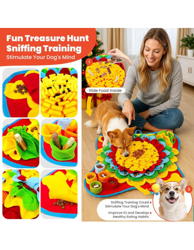 Juego de Alfombra de Olfato y Lamer Petcare 48x48 cm