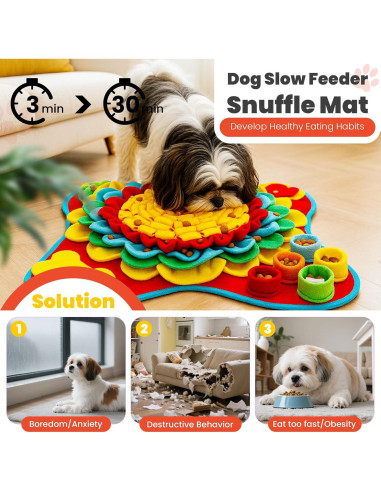 Juego de Alfombra de Olfato y Lamer Petcare 48x48 cm