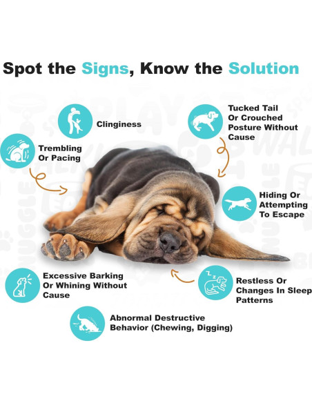 Masticables Calmantes Doggie Dailies Mantequilla de Maní 225g