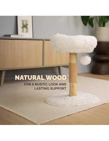 Árbol para Gatos Pathosio Pequeño - Torre Rascador Compacta 53cm