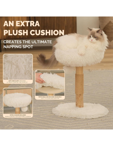 Árbol para Gatos Pathosio Pequeño - Torre Rascador Compacta 53cm