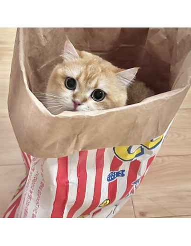 Juguete Interactivo para Gatos HYMOZURA Cueva Plegable 75.2x35 cm