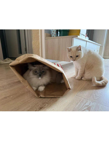 Juguete Interactivo para Gatos HYMOZURA Cueva Plegable 75.2x35 cm