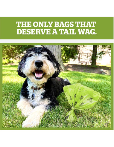 Bolsas Compostables Pogi Extra Grandes 300 Unidades 22.86x34.29cm