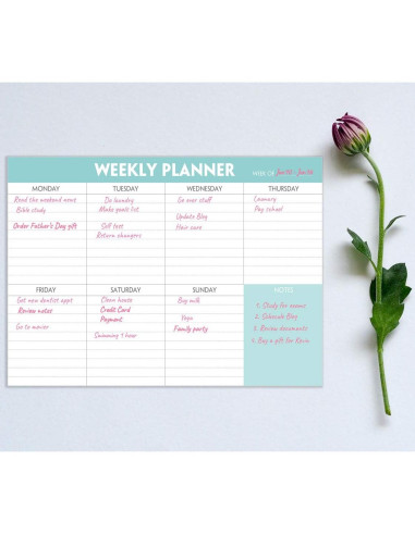 Bloc de Notas Semanal Nokingo 52 Hojas 25.4x17.8 cm 100gsm