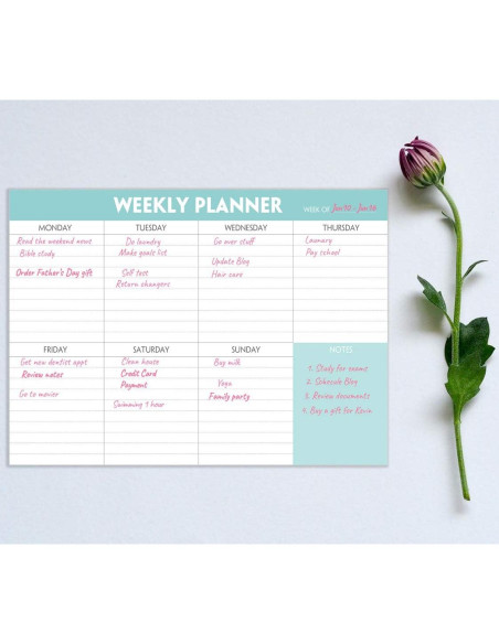 Bloc de Notas Semanal Nokingo 52 Hojas 25.4x17.8 cm 100gsm