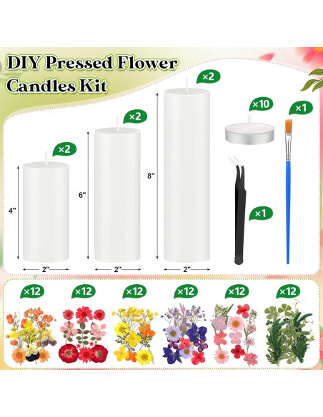 Kit de Pintura de Velas MTLEE 24 Piezas con Flores Secas