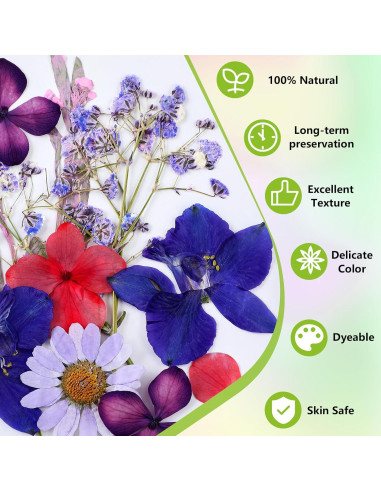 Kit de Pintura de Velas MTLEE 24 Piezas con Flores Secas