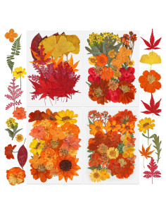 100 Flores Secas Presionadas Naturales Peony Man Otoño