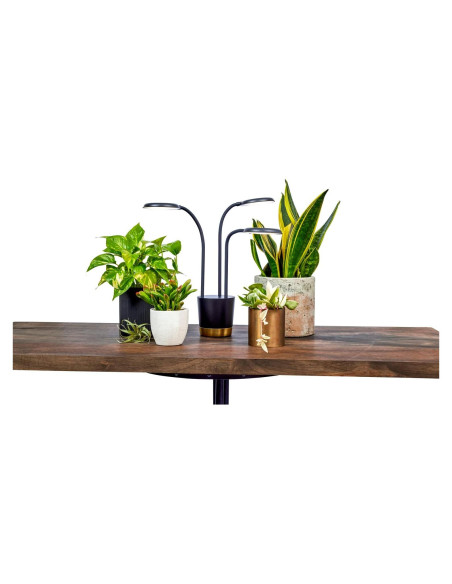 Luz de Crecimiento AeroGarden Trio LED 15W para Plantas