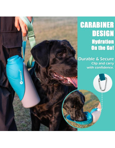 Botella de Agua Aislada LumoLeaf 800 ml Acero Inoxidable - Cuenco para Mascotas 2