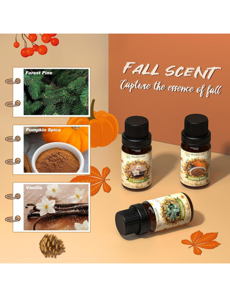 Set de Aceites Esenciales de Otoño WUSEONY 6x10ml Aromaterapia