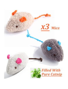 Paquete de 12 Juguetes de Hierba Gatera Kidpet - Orgánicos y Seguros 2