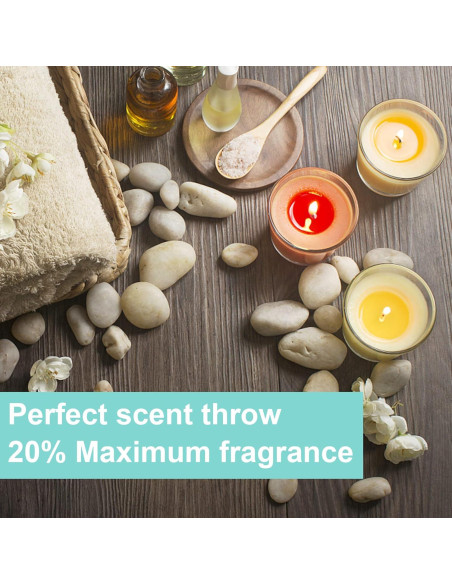 Kit de Fabricación de Velas de Cera de Soja Haccah 0.91 kg