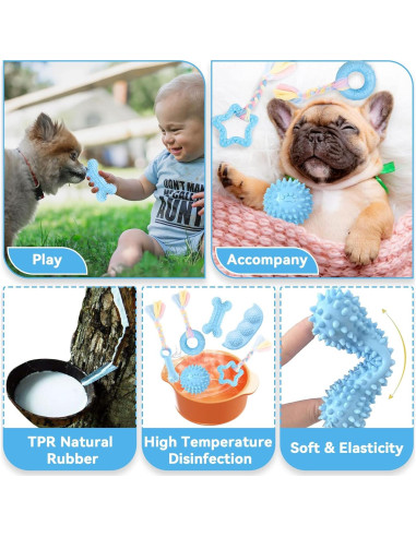 6 Juguetes Masticables para Cachorros PETCARE - Goma Suave Azul