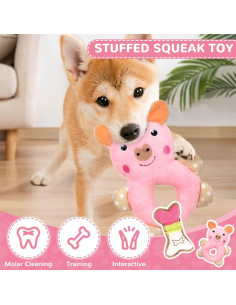 Set de 6 Juguetes para Cachorros XGDMEIL - Dentición y Alivio de Ansiedad 2