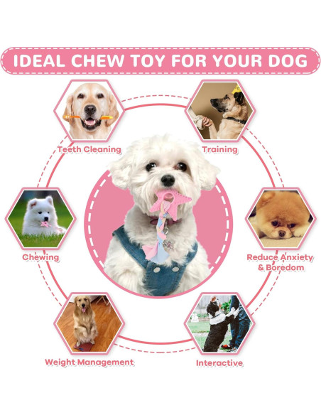 Set de 6 Juguetes para Cachorros XGDMEIL - Dentición y Alivio de Ansiedad Set de 6 Juguetes para Cachorros XGDMEIL - Dentición y Alivio de Ansiedad