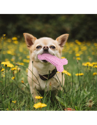 Set de 6 Juguetes para Cachorros XGDMEIL - Dentición y Alivio de Ansiedad