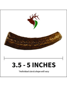 Astas de Alce Premium Elkhorn para Perros Pequeños - 2 Piezas 2