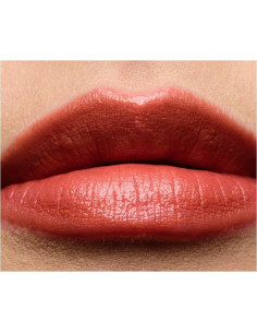 Pintalabios Tom Ford Color de Labios OK Donovan 2g 2