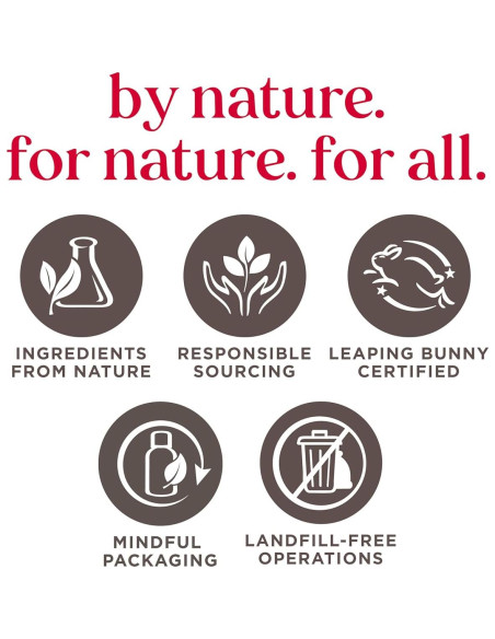 Brillo Labial Burt's Bees Golpe de Rosa 13.88g