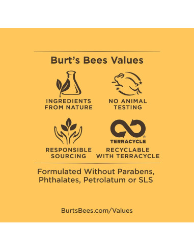 Brillo Labial Burt's Bees Pomelo 100% Natural 1 Tubo