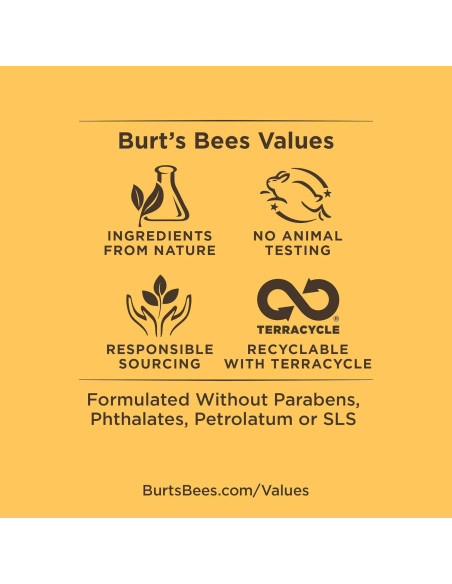 Brillo Labial Burt's Bees Pomelo 100% Natural 1 Tubo