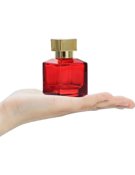 Paquete de 6 Botellas Vacías Reutilizables Equivalence 50ml