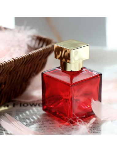 Paquete de 6 Botellas Vacías Reutilizables Equivalence 50ml