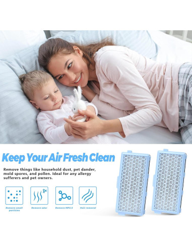 Filtro HEPA AirClean 50 Alocs para Aspiradora Miele - 2 Paquetes