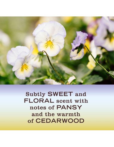 Ambientador Spray No Aerosol Mrs. Meyer's 3x236.6ml Flor de Compasión