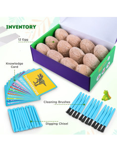 Kit de Excavación de Dinosaurios Toyk - 12 Huevos Únicos 2