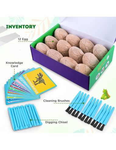 Kit de Excavación de Dinosaurios Toyk - 12 Huevos Únicos
