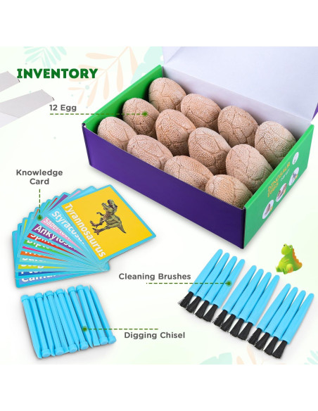 Kit de Excavación de Dinosaurios Toyk - 12 Huevos Únicos