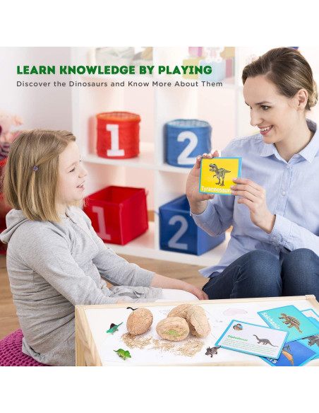Kit de Excavación de Dinosaurios Toyk - 12 Huevos Únicos