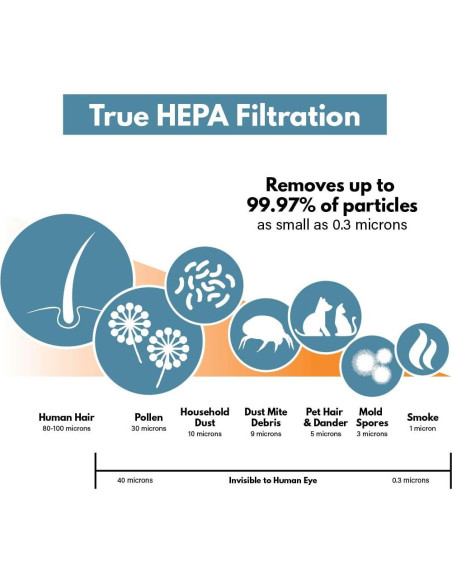 Filtro HEPA R de Reemplazo Filter-Monster para Purificadores Honeywell