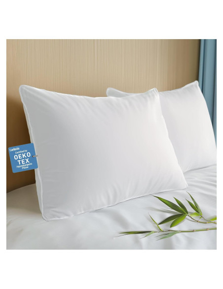 Juego de 2 Almohadas Hipoalergénicas Caelorin 71x51 cm