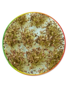 Tufts de Arbustos Autoadhesivos Green Stuff World 6mm Marrón