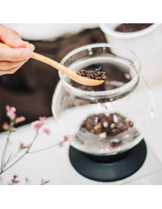 Goteador de Té Hario Largo de Vidrio 800ml Resistente al Calor 2