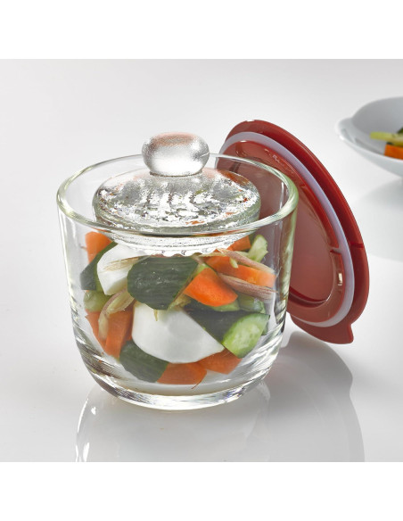 Hario Salting Bowl 500ml Rojo - Apto Microondas y Lavavajillas Hario Salting Bowl 500ml Rojo - Apto Microondas y Lavavajillas