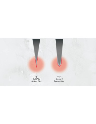 Juego de Cuchillos Global de 10 Piezas - Acero Inoxidable Japonés