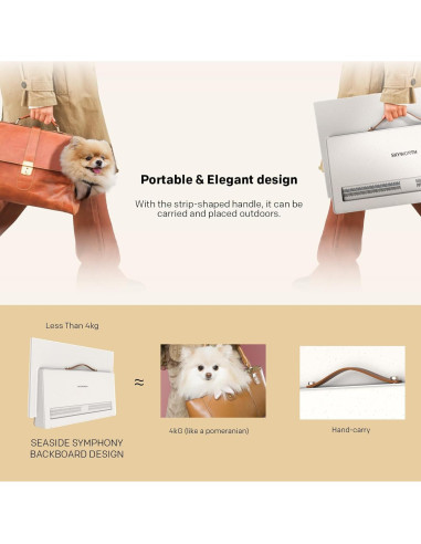 Pantalla Inteligente Portátil Skyworth 24P100 1080P FHD