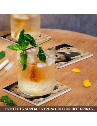 Juego de 8 Posavasos de Cerámica 3dRose Leones Divertidos