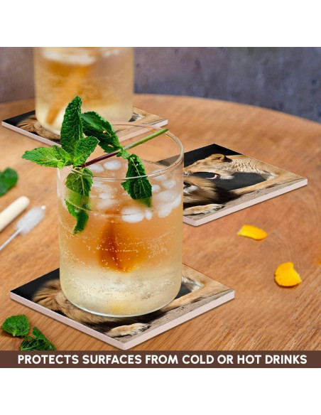 Juego de 8 Posavasos de Cerámica 3dRose Leones Divertidos