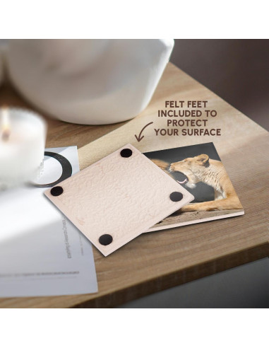 Juego de 8 Posavasos de Cerámica 3dRose Leones Divertidos