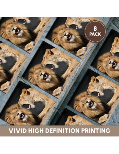 Juego de 8 Posavasos de Cerámica 3dRose Leones Divertidos